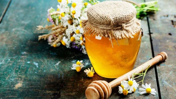 beeware honey