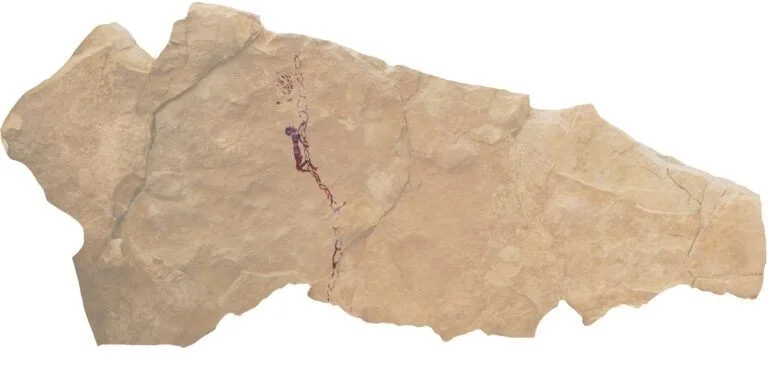 Golden World of Honey cave painting